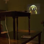 Die Informale Presse-Salon with Berlin artist Konrad Mühe and his video sculpture _Alexander_at Kavanagh Buenos Aires