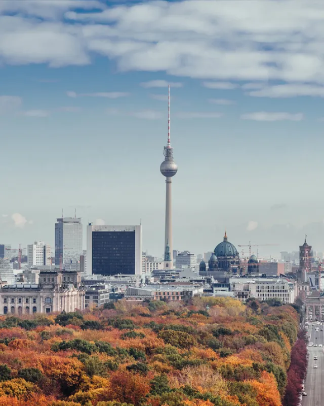Blick auf den Tiergarten