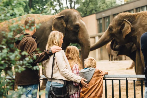 junge Familie besucht den Zoo Berlin